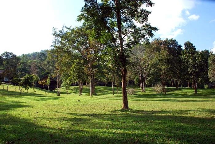 Photo by :: ����ǧ