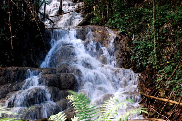 Photo by :: ����ǧ