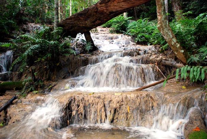 Photo by :: ����ǧ