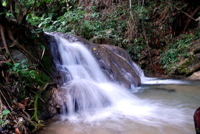 Photo by :: ����ǧ