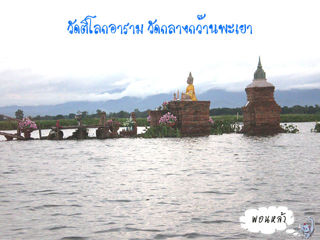 Photo by :: �͹����