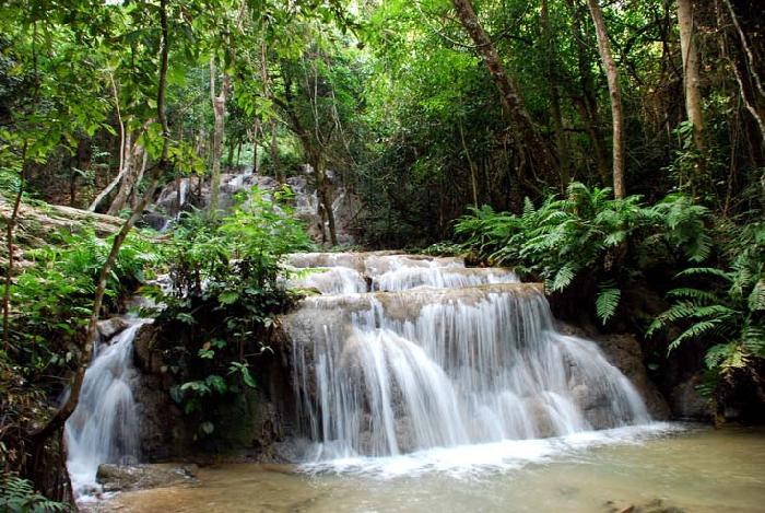 Photo by :: ����ǧ