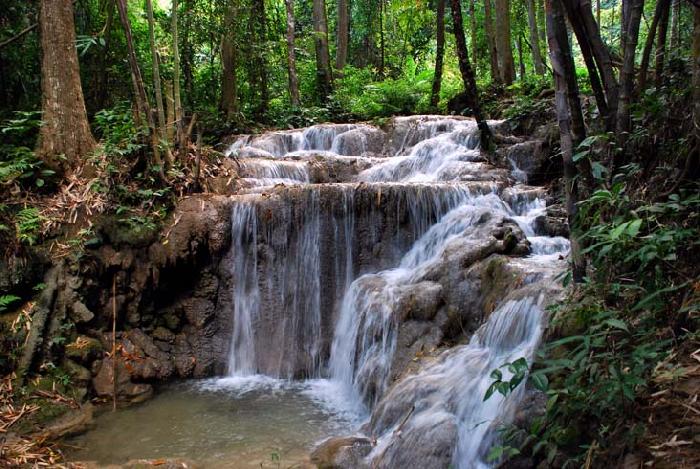 Photo by :: ����ǧ