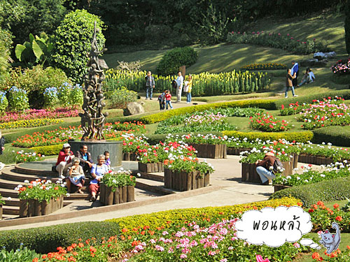 Photo by :: �͹����