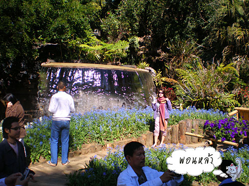 Photo by :: �͹����