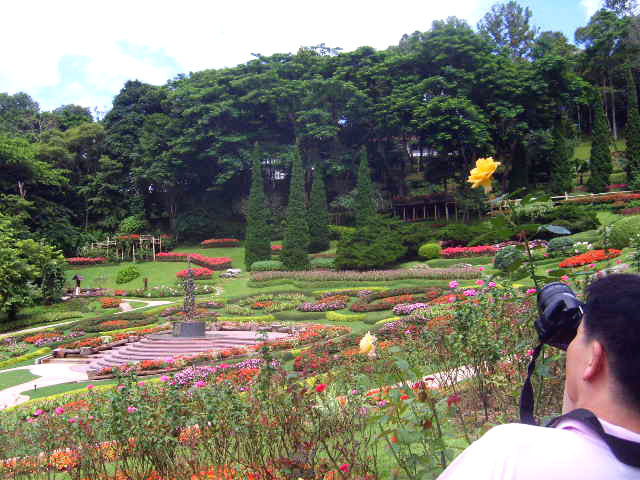 Photo by :: ����ǧ