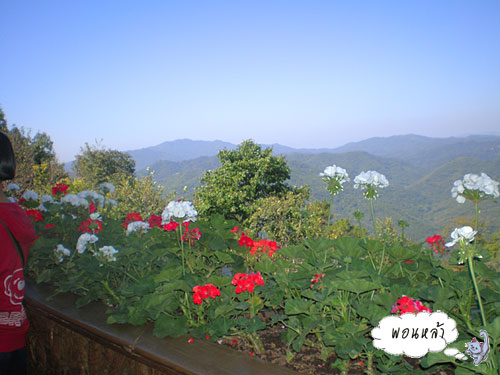 Photo by :: �͹����