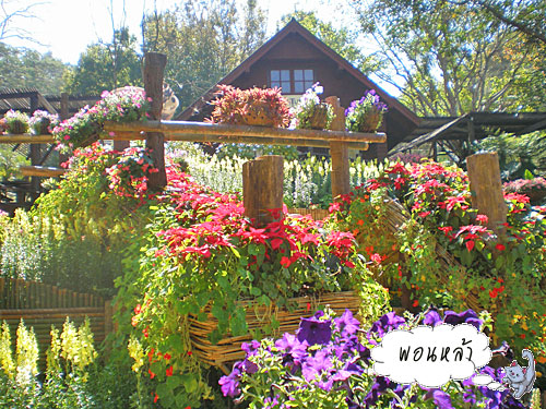 Photo by :: �͹����