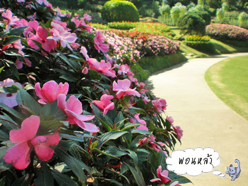 Photo by :: �͹����