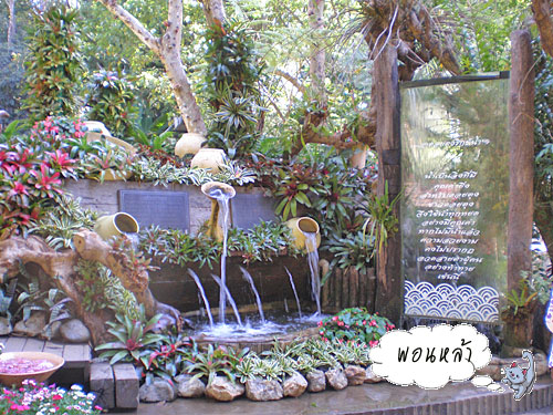 Photo by :: �͹����