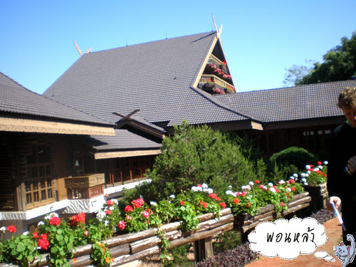 Photo by :: �͹����