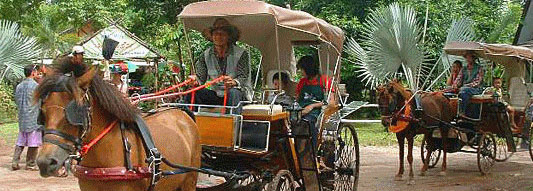 Photo by :: �͹����