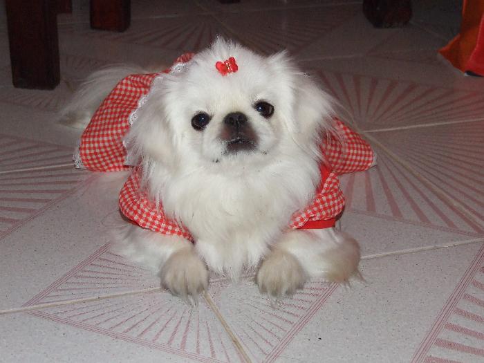 Photo by :: ���§�������͹�ѹ