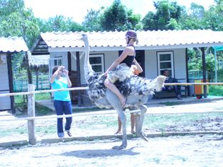 Photo by :: วิทยา