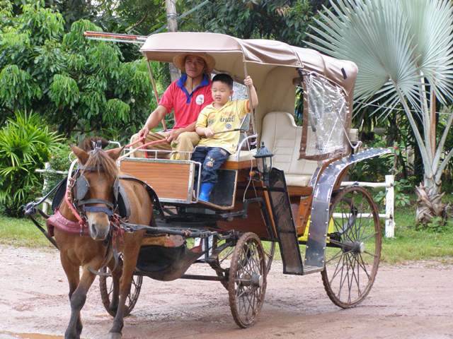 Photo by :: วิทยา