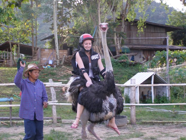 Photo by :: วิทยา