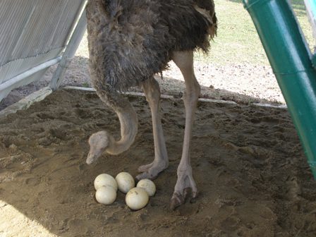 Photo by :: วิทยา