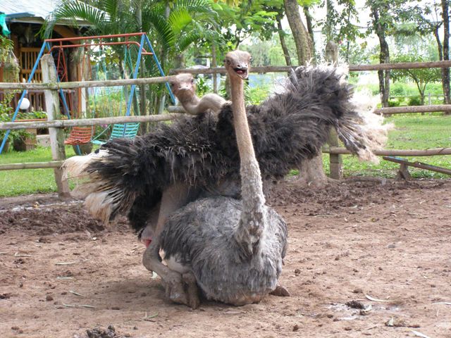 Photo by :: วิทยา