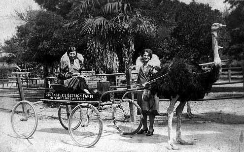 Photo by :: �ا�� 089-6357233