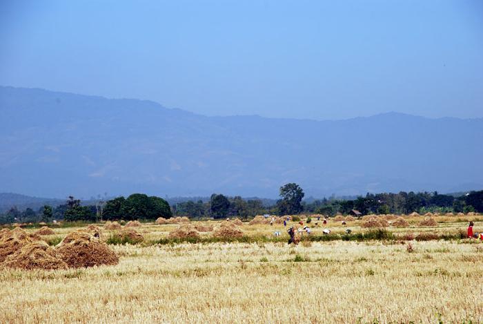 Photo by :: ����ǧ