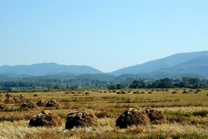 Photo by :: ����ǧ