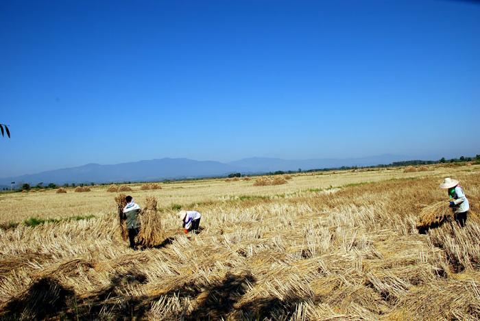 Photo by :: ����ǧ