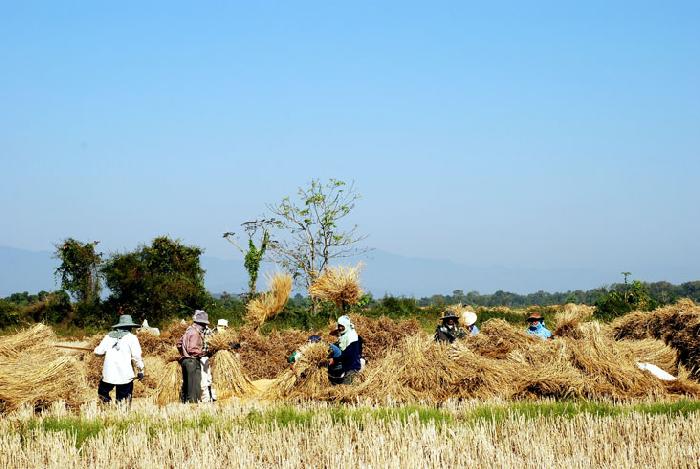 Photo by :: ����ǧ