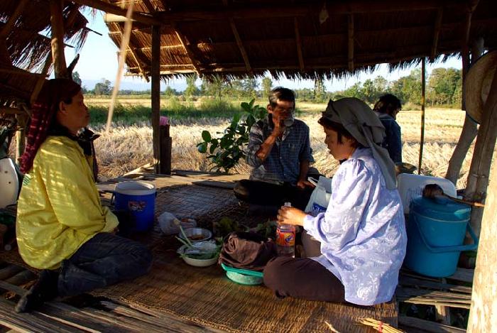 Photo by :: ����ǧ