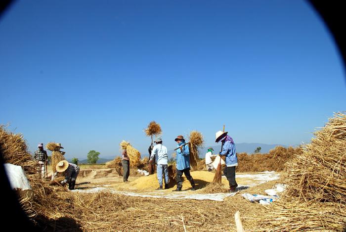 Photo by :: ����ǧ