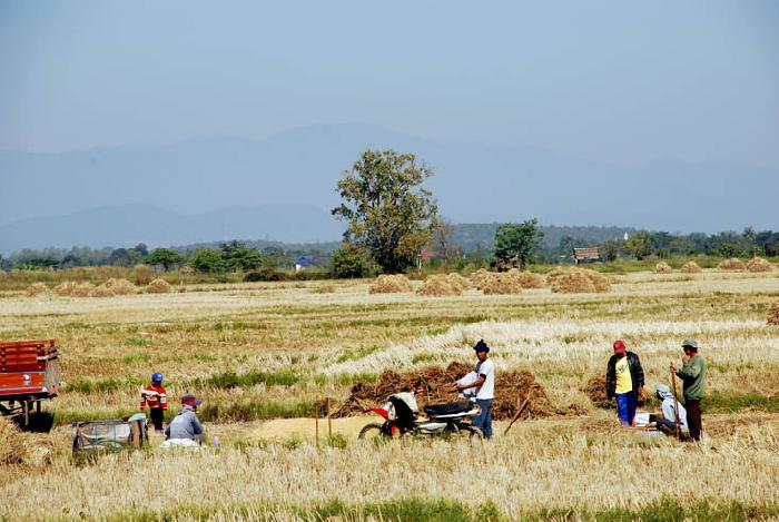 Photo by :: ����ǧ