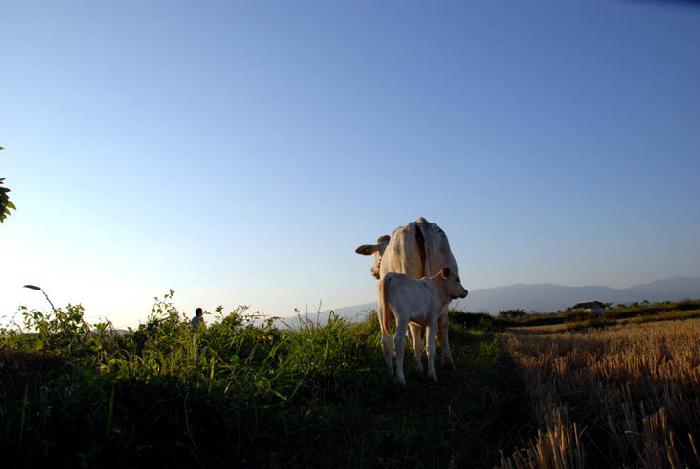 Photo by :: ����ǧ