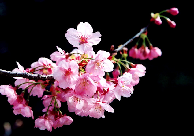 Photo by :: �ҹ�