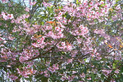 Photo by :: ���