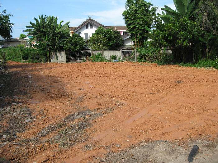 Photo by :: �ԡ�