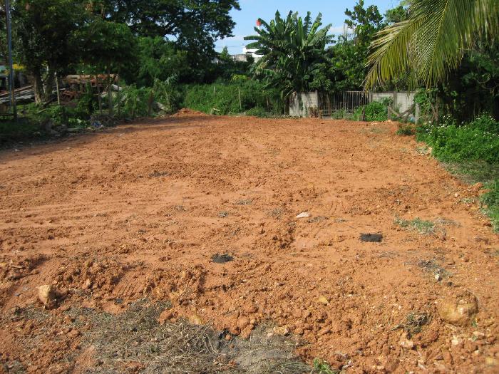 Photo by :: �ԡ�