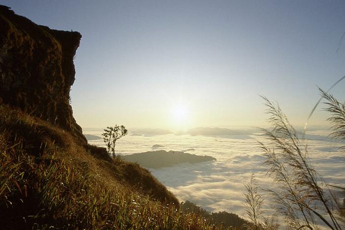 Photo by :: ����ǧ