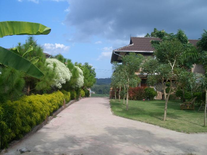 Photo by :: ���