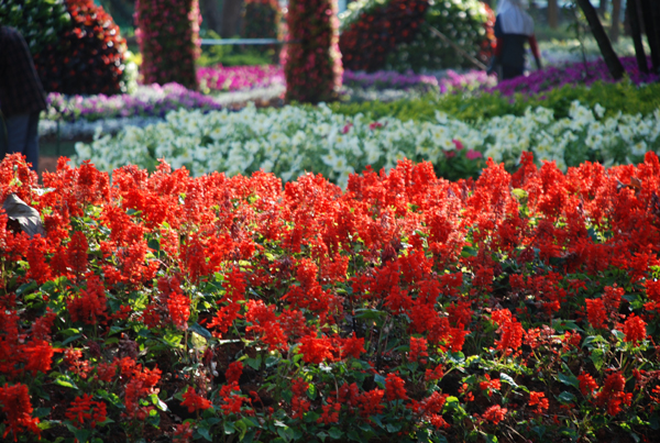 Photo by :: �ѷ�