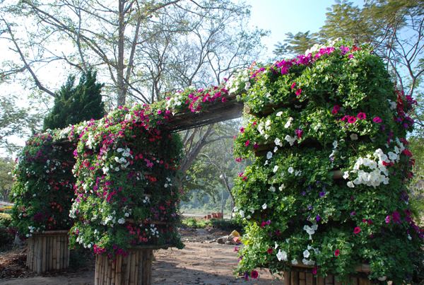 Photo by :: �ѷ�