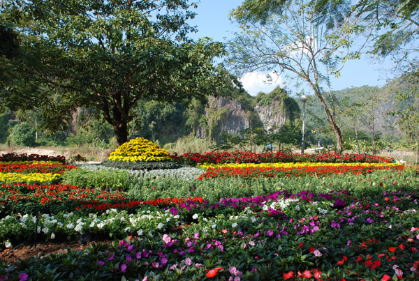 Photo by :: �ѷ�