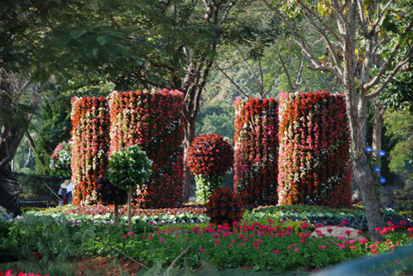 Photo by :: �ѷ�