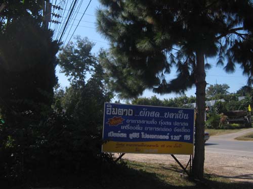 Photo by :: �л����§���