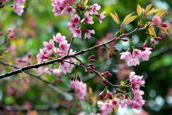 Photo by :: ����ǧ