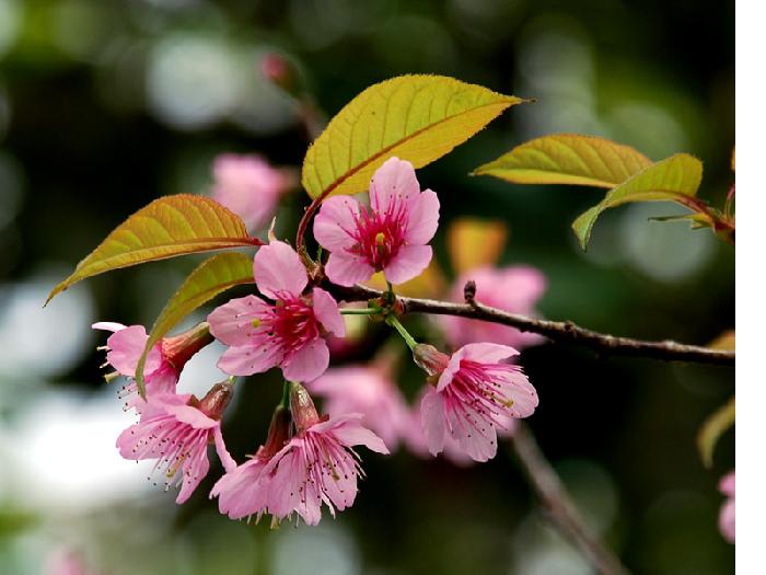 Photo by :: ����ǧ