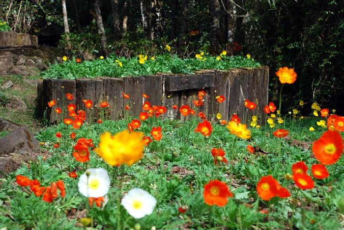 Photo by :: ����ǧ