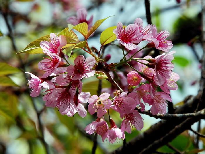 Photo by :: ����ǧ