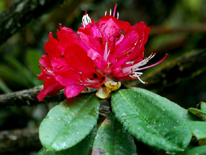 Photo by :: ����ǧ