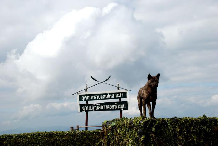 Photo by :: ����ǧ