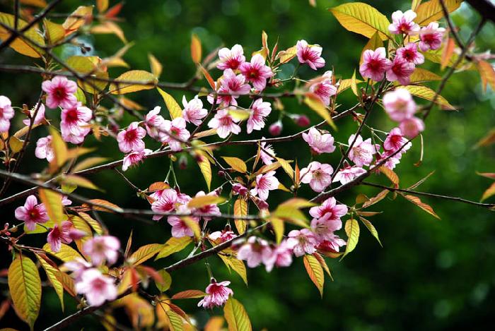 Photo by :: ����ǧ