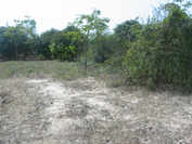 Photo by :: คุณ กนก